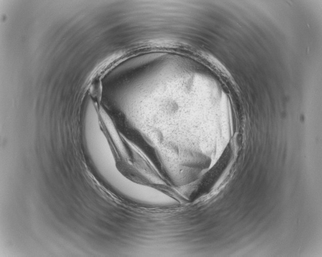 X0000085290930200704092228