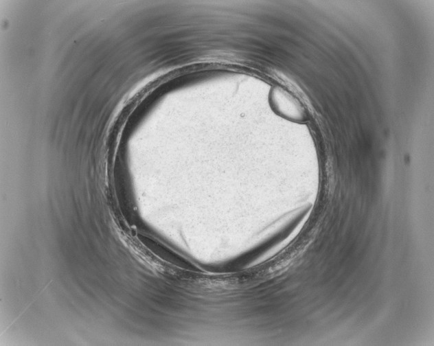 X0000085290931200704092228