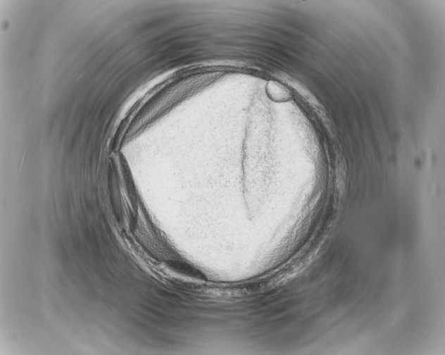 X0000085290933200704092228