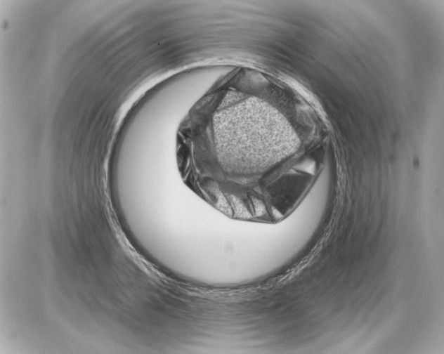 X0000085290936200704092228