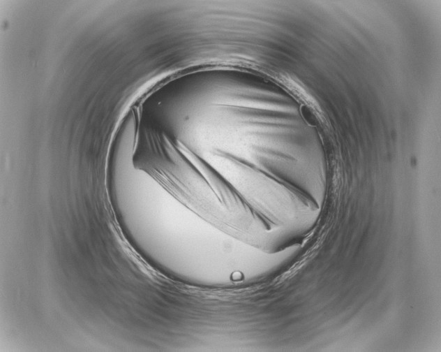 X0000085290940200704092228