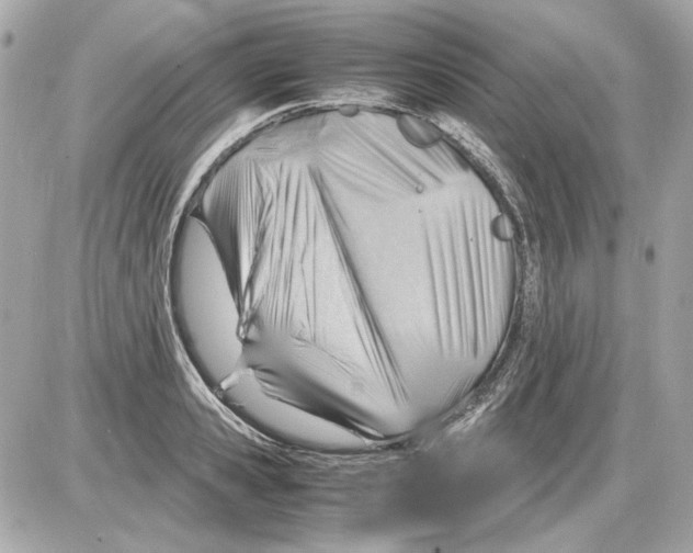 X0000085290941200704092228