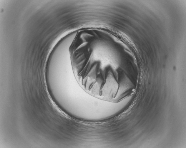 X0000085290942200704092228