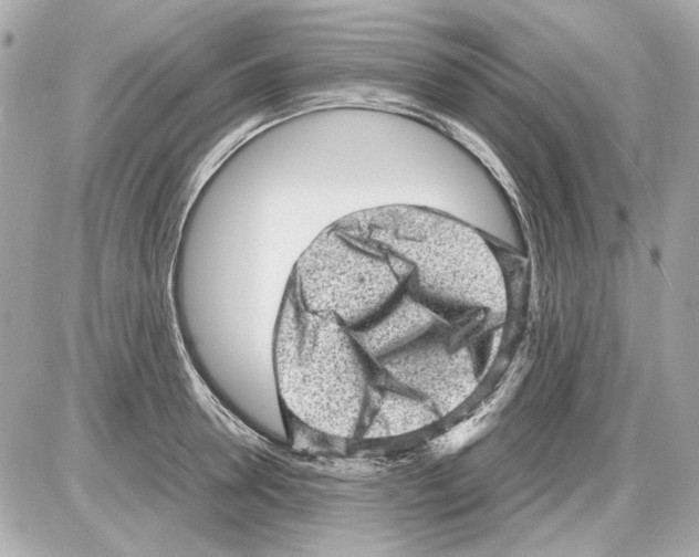 X0000085290946200704092228