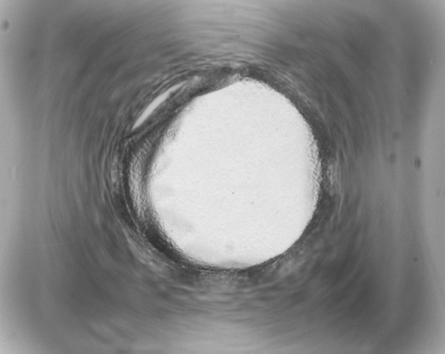 X0000085290963200704092228