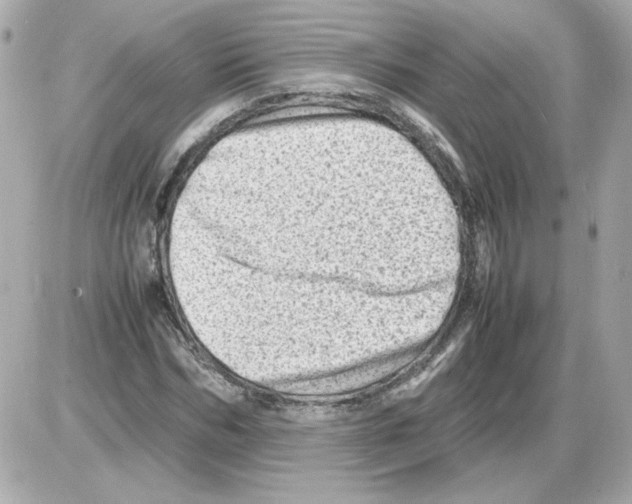 X0000085290970200704092228