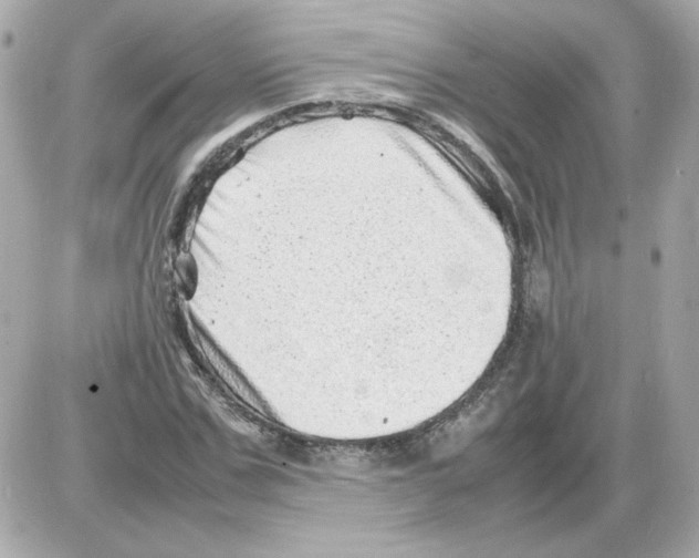 X0000085290971200704092228