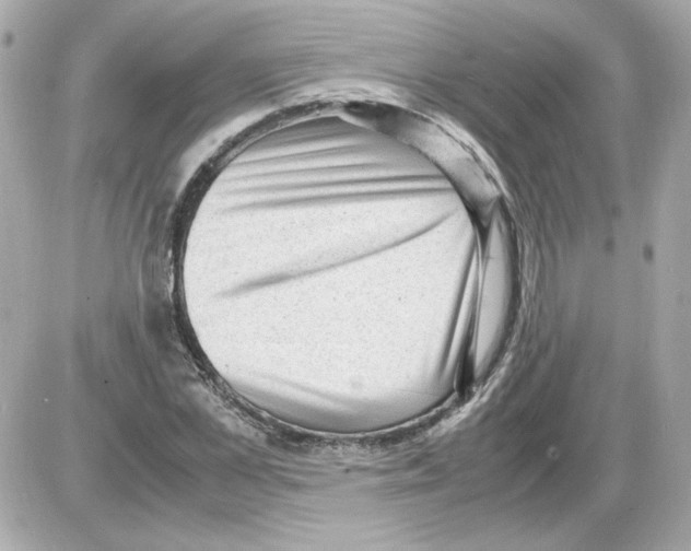 X0000085290973200704092228