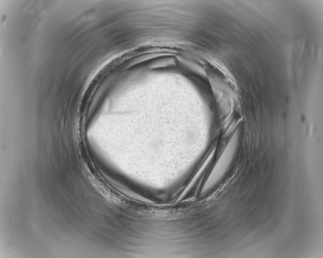 X0000085290976200704092228