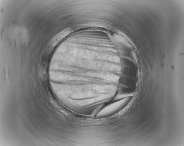 X0000085290977200704092228