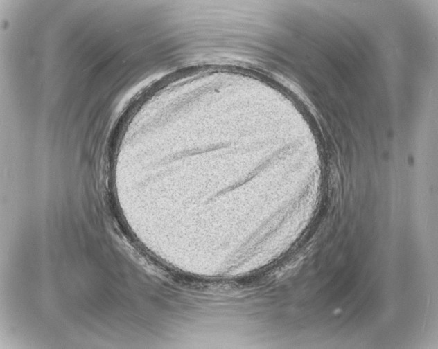 X0000085290979200704092228