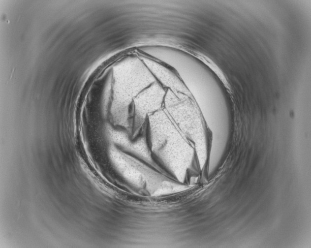 X0000085290980200704092228