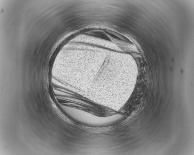X0000085290984200704092228