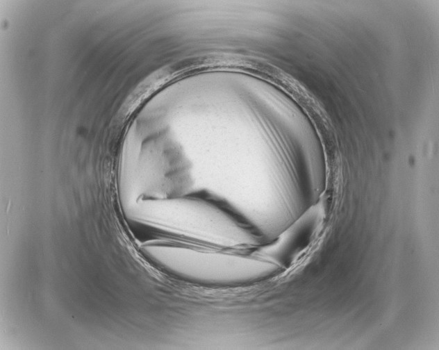 X0000085290985200704092227