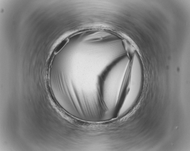 X0000085290989200704092227