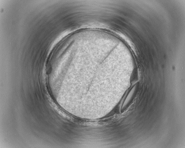 X0000085290990200704092227