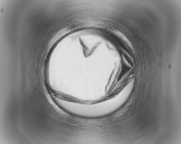 X0000085290991200704092227
