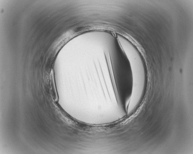 X0000085290993200704092227