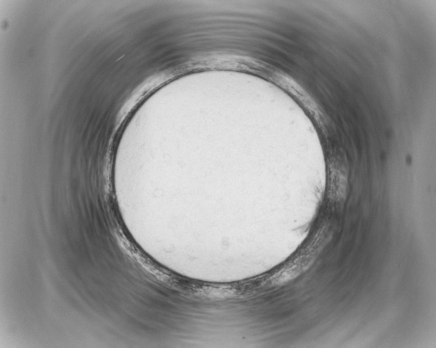 X0000085290994200704092227