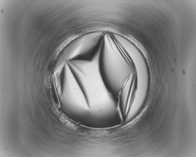 X0000085291001200704092227