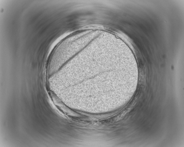 X0000085291003200704092227