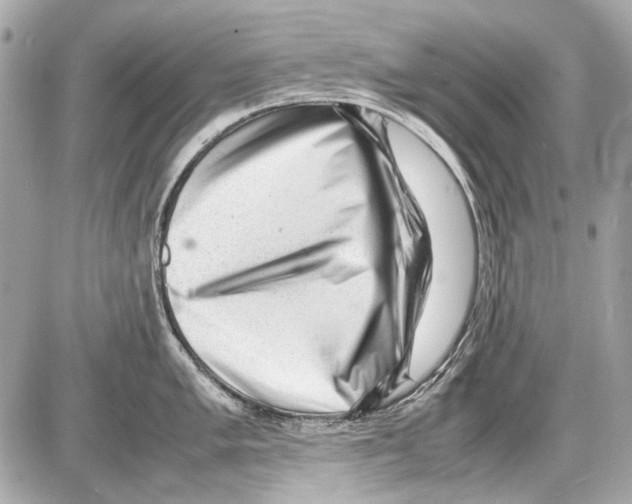 X0000085291005200704092227