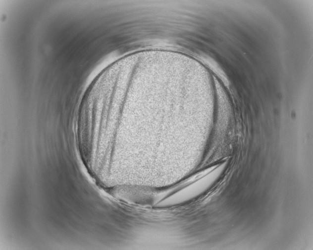 X0000085291007200704092227