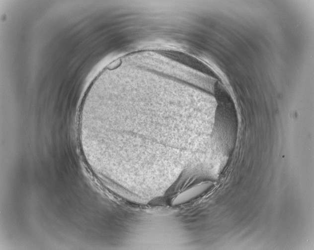 X0000085291008200704092227