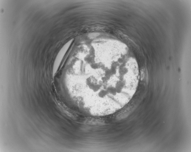 X0000085291011200704092226