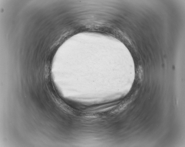 X0000085291012200704092226
