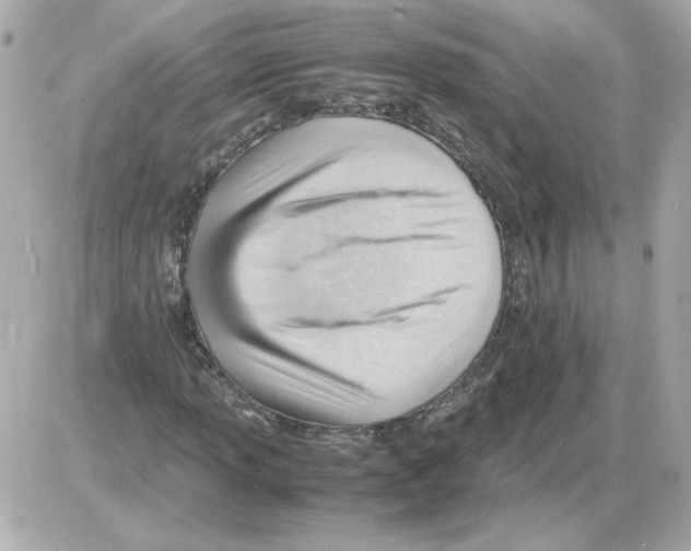X0000085291013200704092226