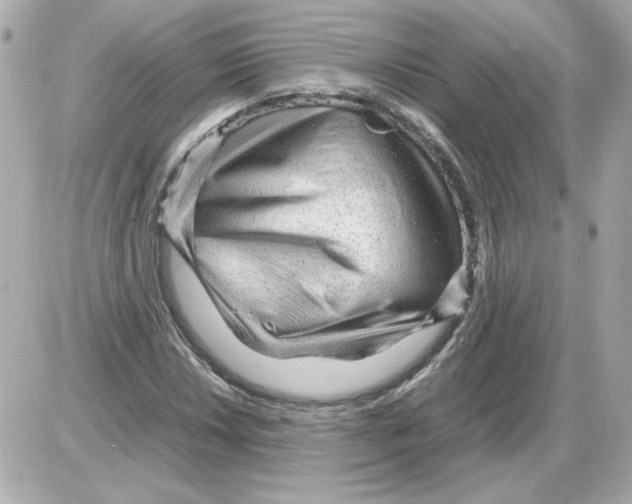X0000085291018200704092226