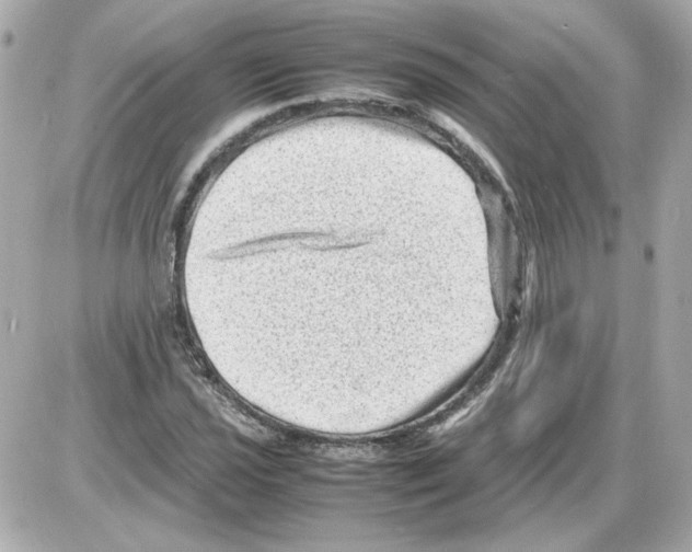 X0000085291021200704092227