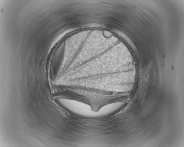 X0000085291023200704092227