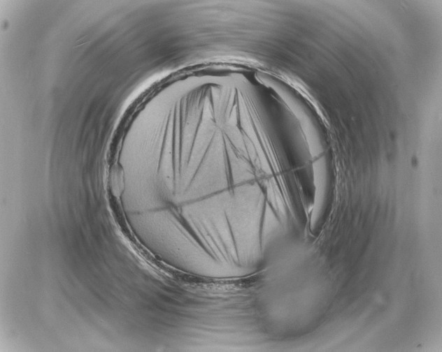 X0000085291024200704092227