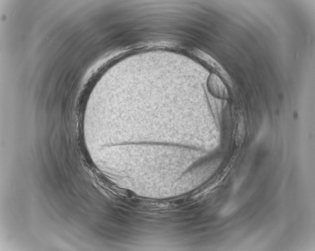 X0000085291027200704092227