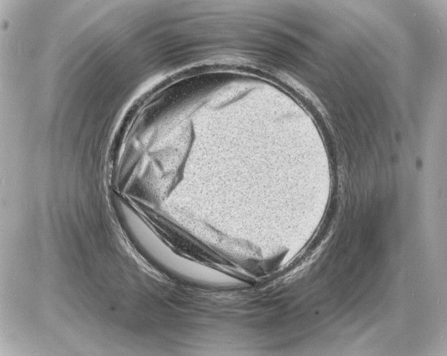 X0000085291029200704092227