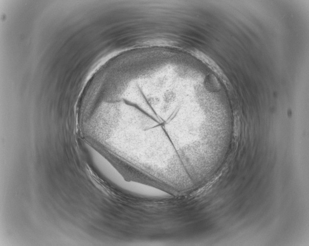 X0000085291031200704092227