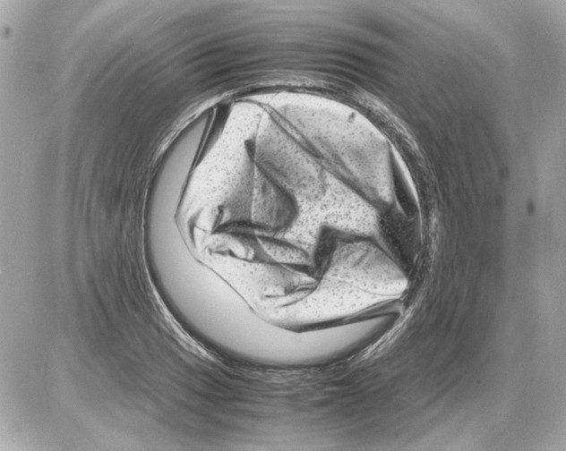 X0000085291033200704092227