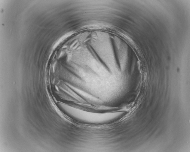 X0000085291034200704092227
