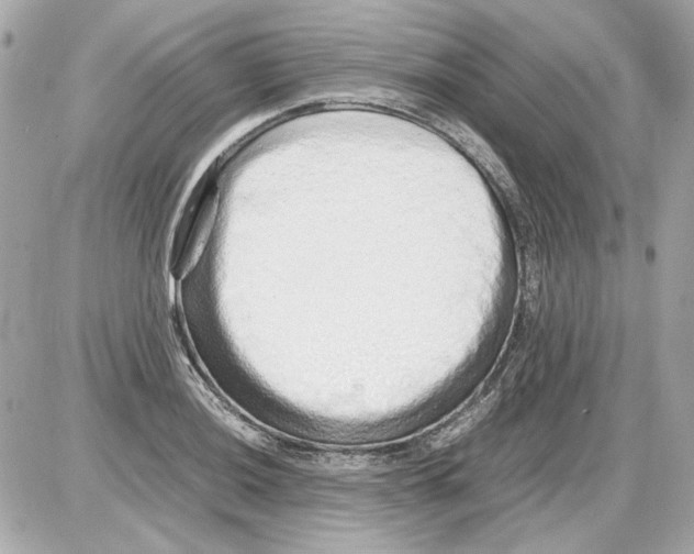 X0000085291036200704092227