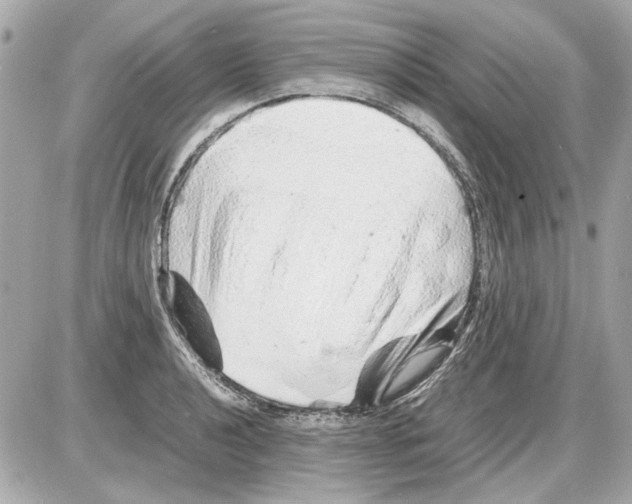 X0000085291040200704092227