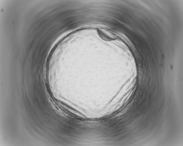 X0000085291044200704092227