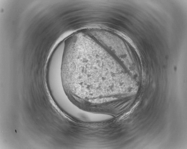 X0000085291045200704092227