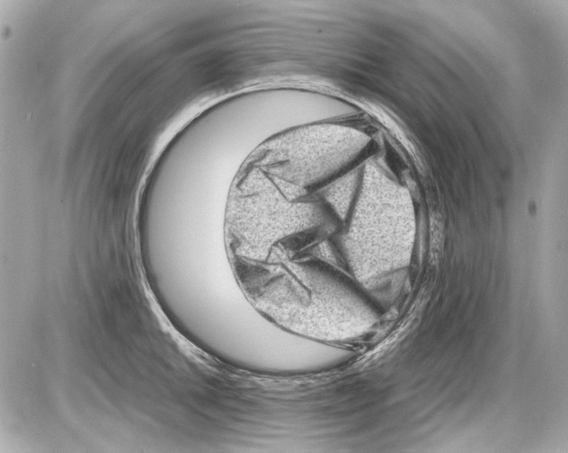X0000085291046200704092227
