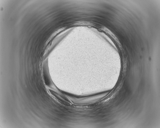 X0000085291049200704092227