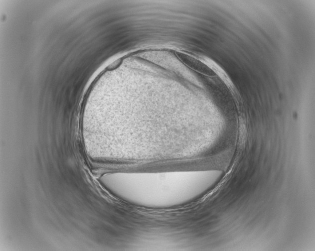 X0000085291052200704092227