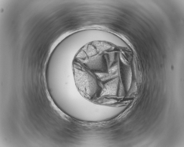 X0000085291054200704092227