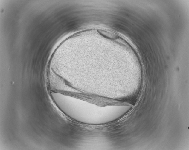 X0000085291056200704092227
