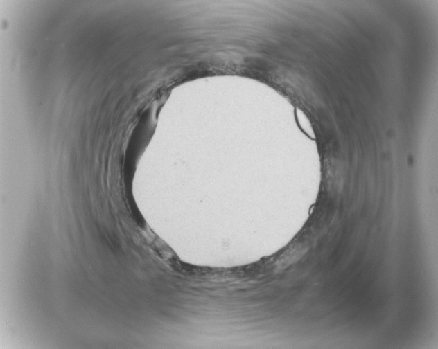 X0000085291057200704092226